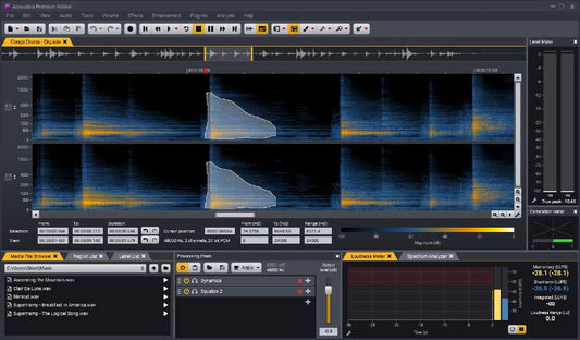 Acon Acoustica Post Production Suite